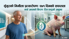 Healthbani